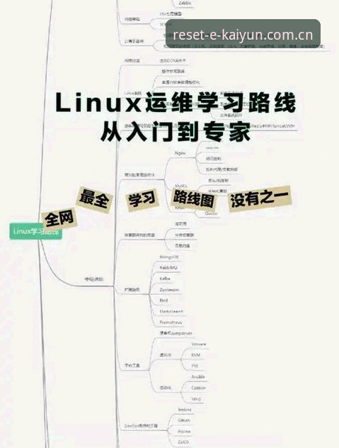 开云体育替代站评测 开云体育平台切换实操指南:替代站评测与版本更新必备知识
